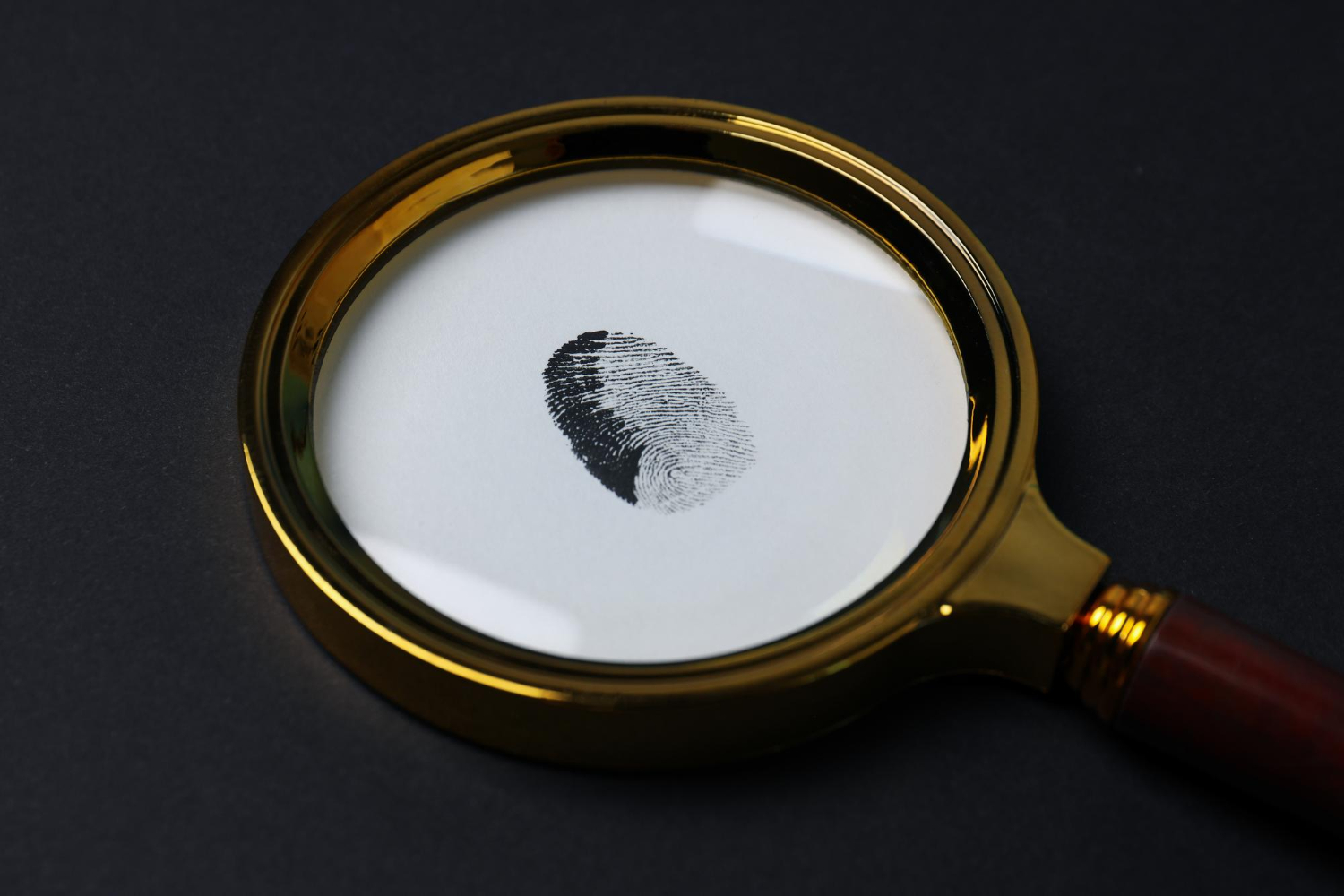 Left Side Image
